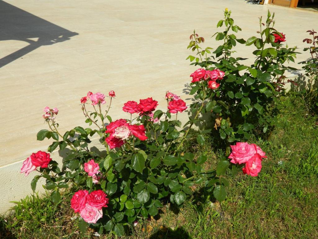 Hotel Yonca